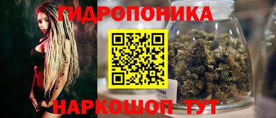 сатива Ачхой-Мартан